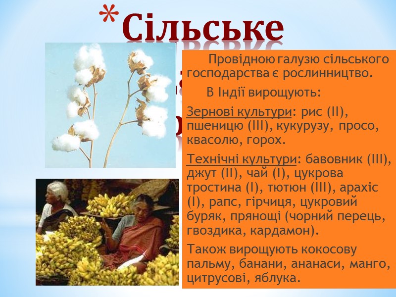 Сільське господасртво Індії Провідною галузю сільського господарства є Сільське господасртво Індії Провідною галузю сільського господарства є